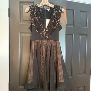 Sau Black Lace Dress